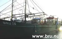 Nava de pescuit tip trauler de vânzare