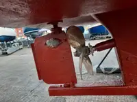 Șalupă de vânzare