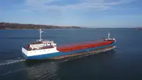 Nava de transport marfă vrac de vânzare