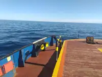 Remorcher de vânzare