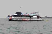 Catamaran de vânzare