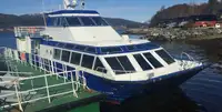 Navă de feribot de vânzare