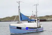 Nava de pescuit cu linii lungi de vânzare