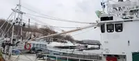 Nava de pescuit tip trauler de vânzare