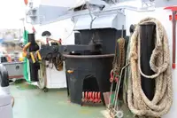 Remorcher de vânzare
