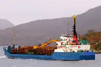 Nava de transport marfă vrac de vânzare