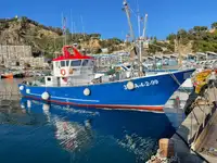 Nava de pescuit tip trauler de vânzare