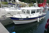 Bărci de lucru de vânzare