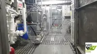 Navă de croazieră de vânzare