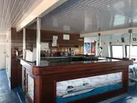 Catamaran de vânzare