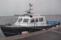 Ambarcațiuni de lucru de vânzare