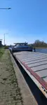 Nava de transport marfă vrac de vânzare