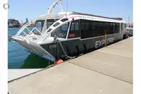 Catamaran de vânzare
