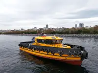 Bărci de lucru de vânzare