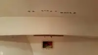 Nava de pescuit tip trauler de vânzare