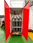 General Cargo/Multi-purpose de vânzare