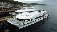 Catamaran de vânzare
