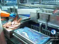 Nava de pescuit tip trauler de vânzare