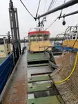 Nava de pescuit tip trauler de vânzare