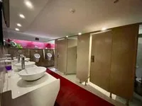 Navă de pasageri de vânzare