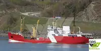 Bărci de lucru de vânzare