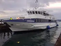 Nava de pasageri de vânzare