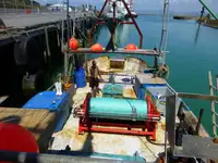 Trawler de vânzare