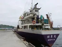 General Cargo/Multi-purpose de vânzare