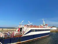 Nava de pasageri de vânzare