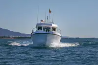 Navă cu feribotul de vânzare