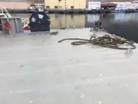 Ponton de vânzare