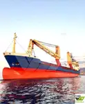 Nava de transport marfă vrac de vânzare