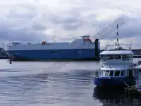 Nava de transport marfă vrac de vânzare