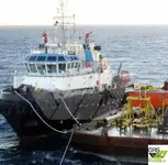 Remorcher de vânzare