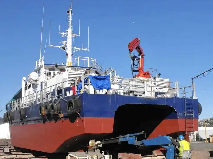 Catamaran de vânzare
