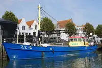 Nava de pescuit tip trauler de vânzare