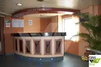 Ro-Ro ship de vânzare