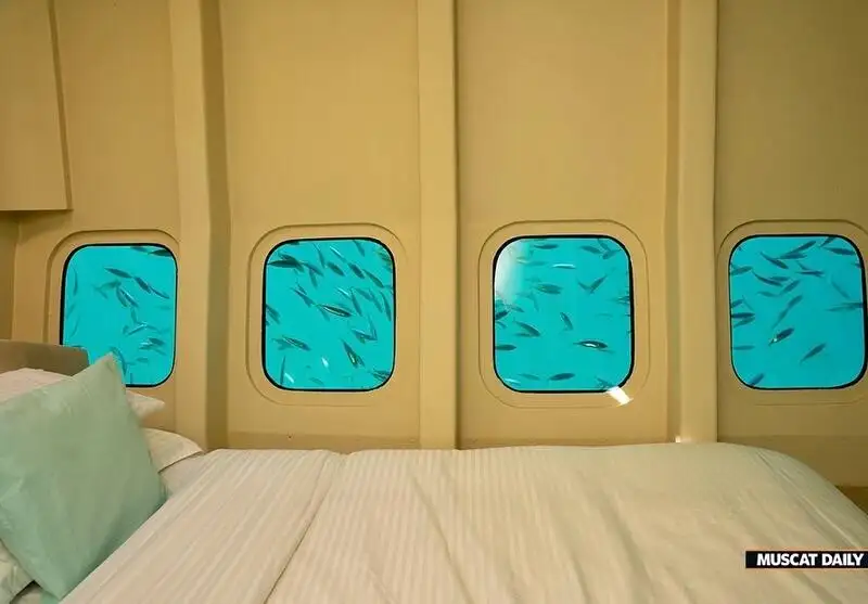 Catamaran de vânzare