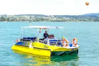 Navă de feribot de vânzare