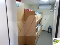 Navă Ro-Ro de vânzare