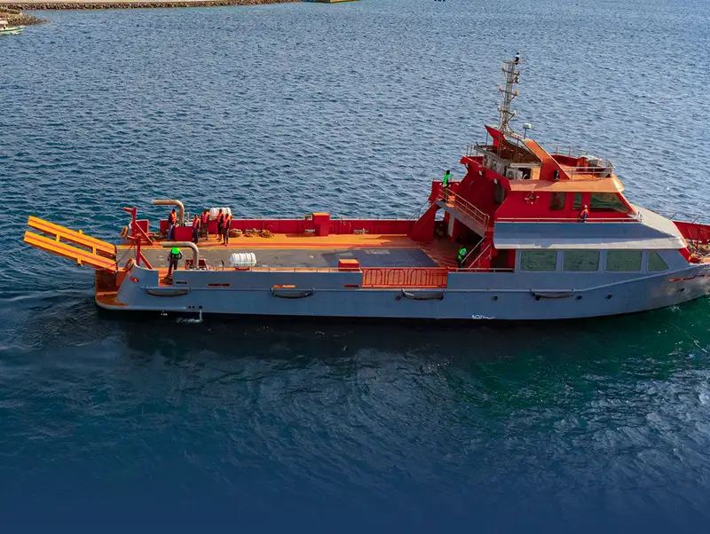 Nava de transport marfă vrac de vânzare
