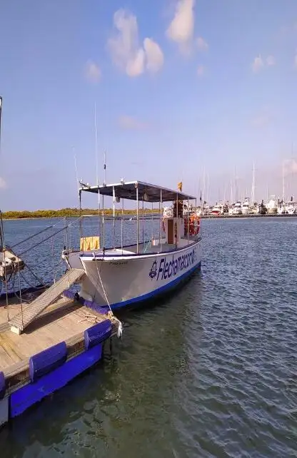 Navă de feribot de vânzare