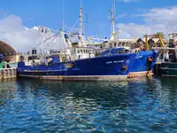 Trawler de vânzare