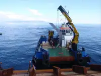 Remorcher de vânzare