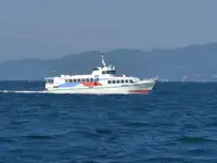 Navă cu feribotul de vânzare