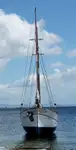 Navă de feribot de vânzare