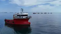 Ambarcațiuni de lucru de vânzare