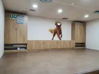Navă frigorifică de vânzare