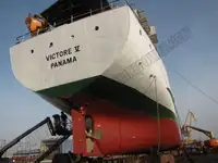 Nava de transport marfă vrac de vânzare