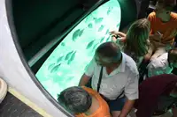 Navă de pasageri de vânzare